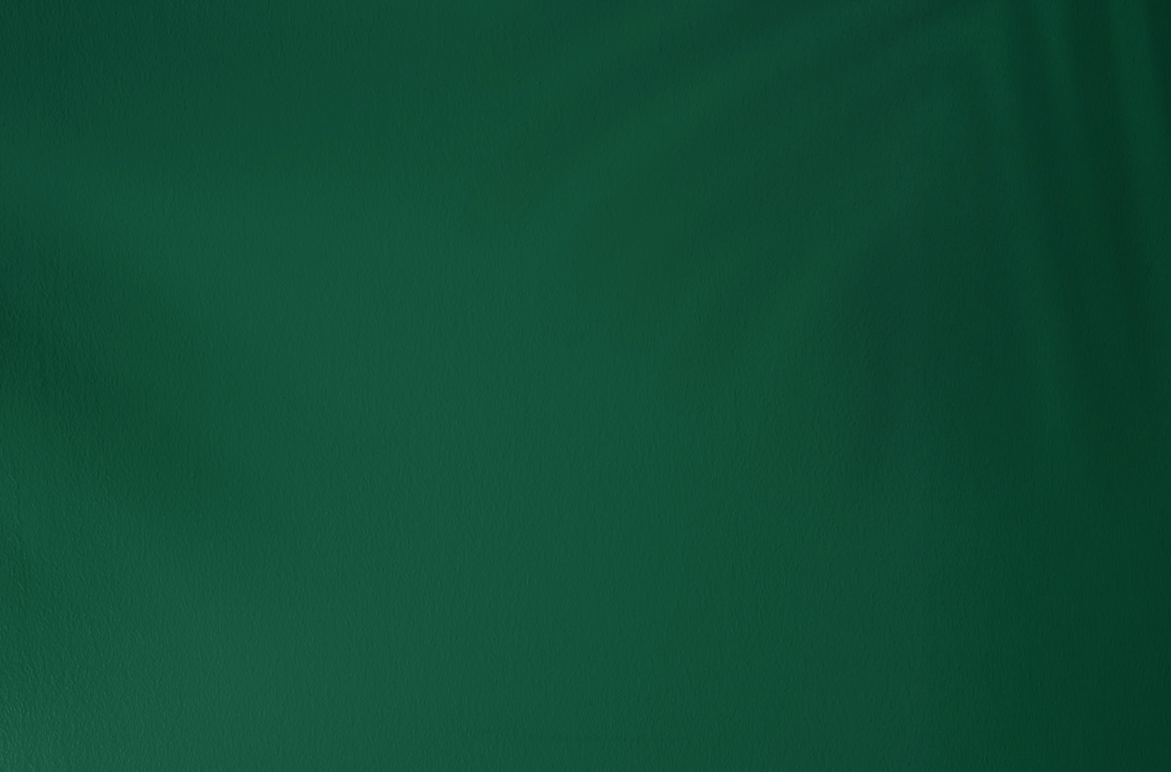 sustainability bg